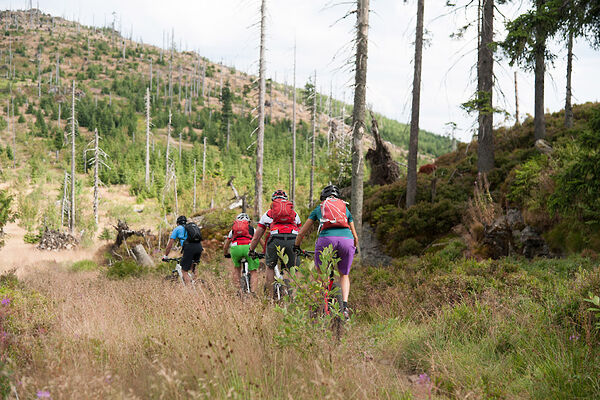 Radfahren im Zellertal Bayerischer Wald